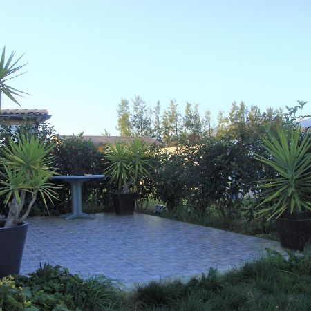 Cavone 2 Apartment Castellare-di-Casinca Bagian luar foto