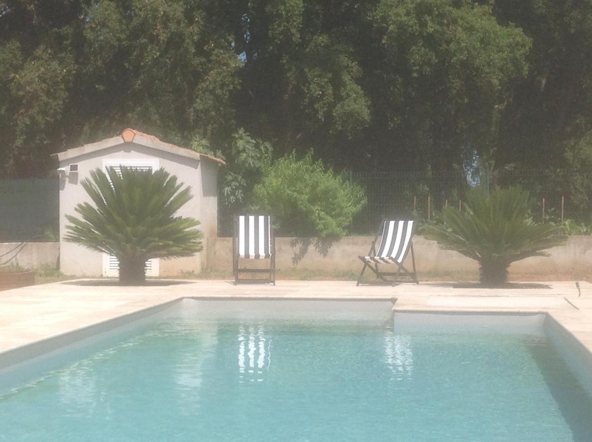 Cavone 2 Apartment Castellare-di-Casinca Bagian luar foto